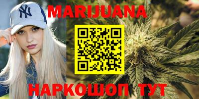 сатива Аргун