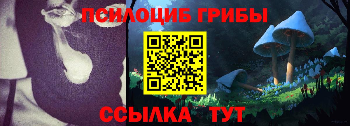 Балашиха  Галлюциногенные грибы Psilocybine cubensis  Вход с VPN  Галлюциногенные грибы прущие грибы 